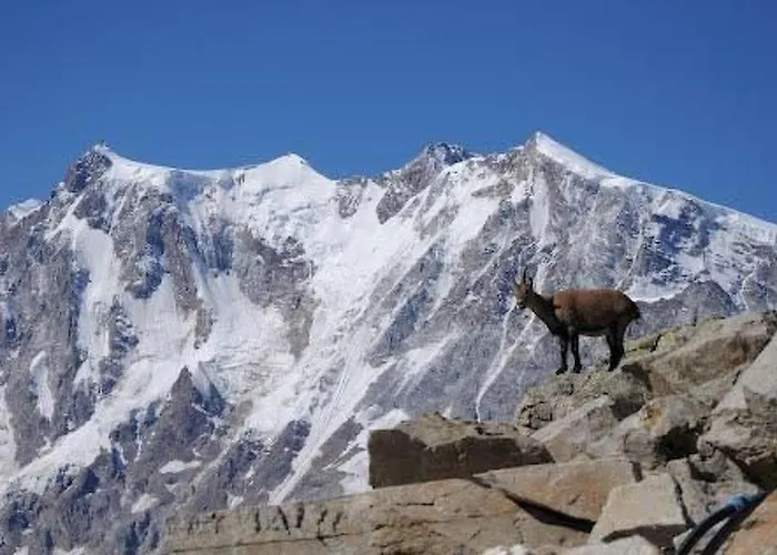 Haus Mondelli By Interhome アパート *